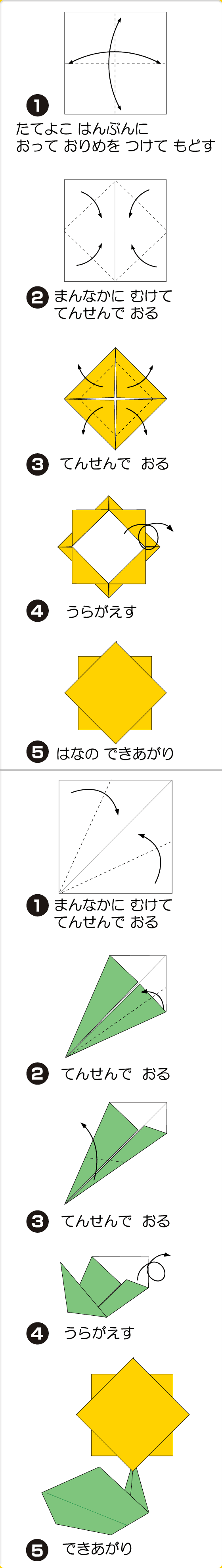 ひまわり