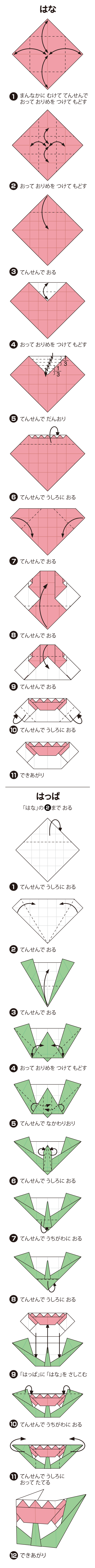 はなの立方体